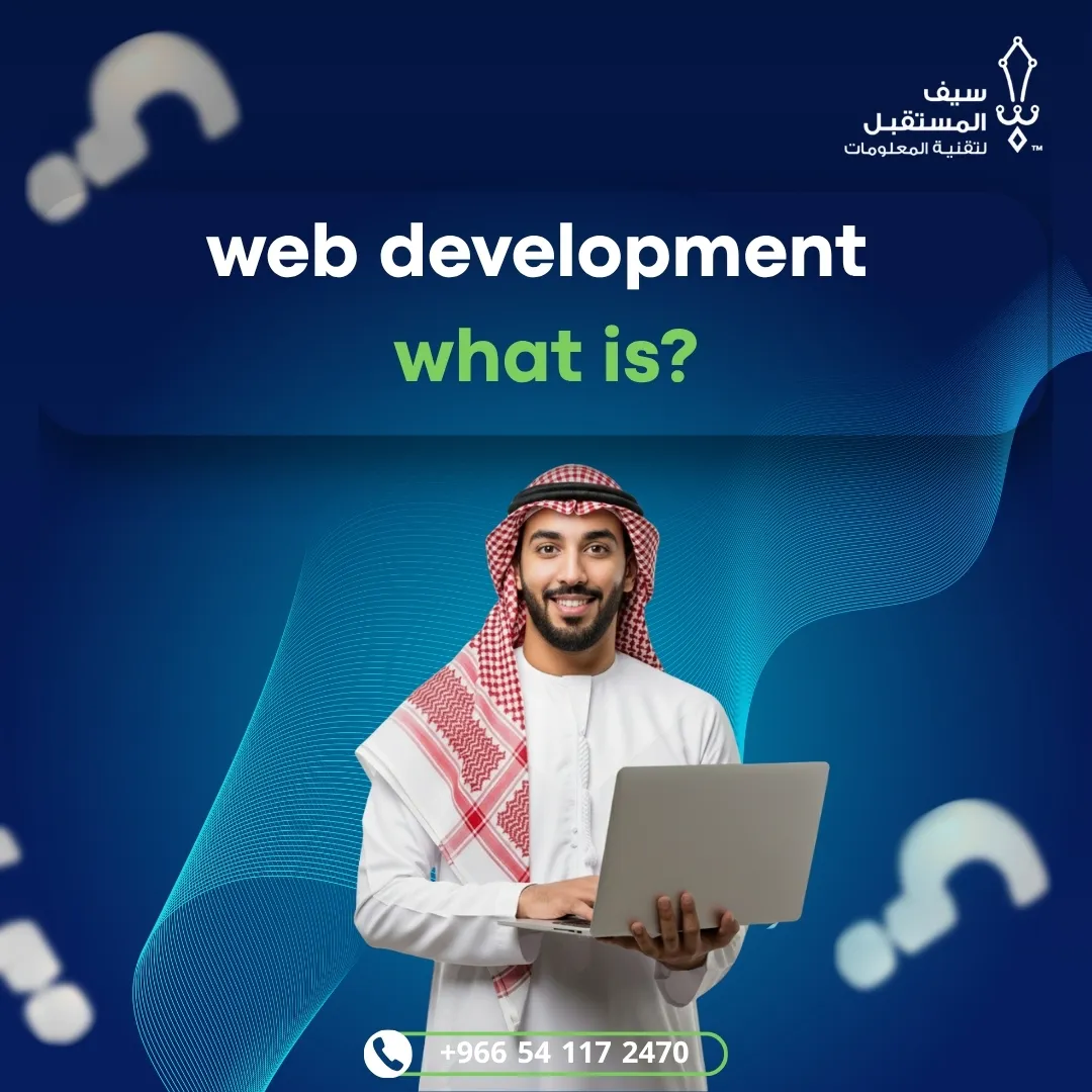 what is web development
